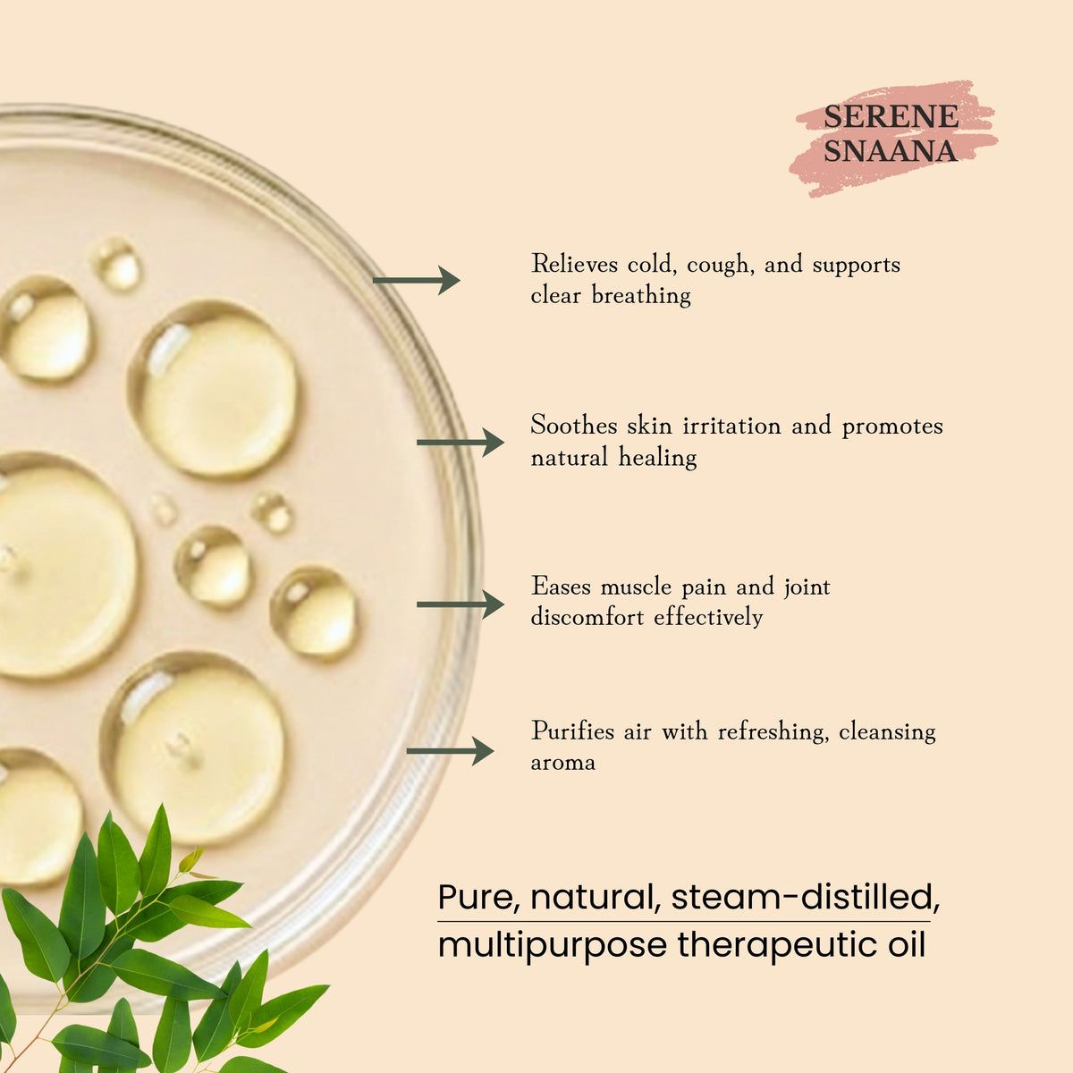 Camphor essential oil