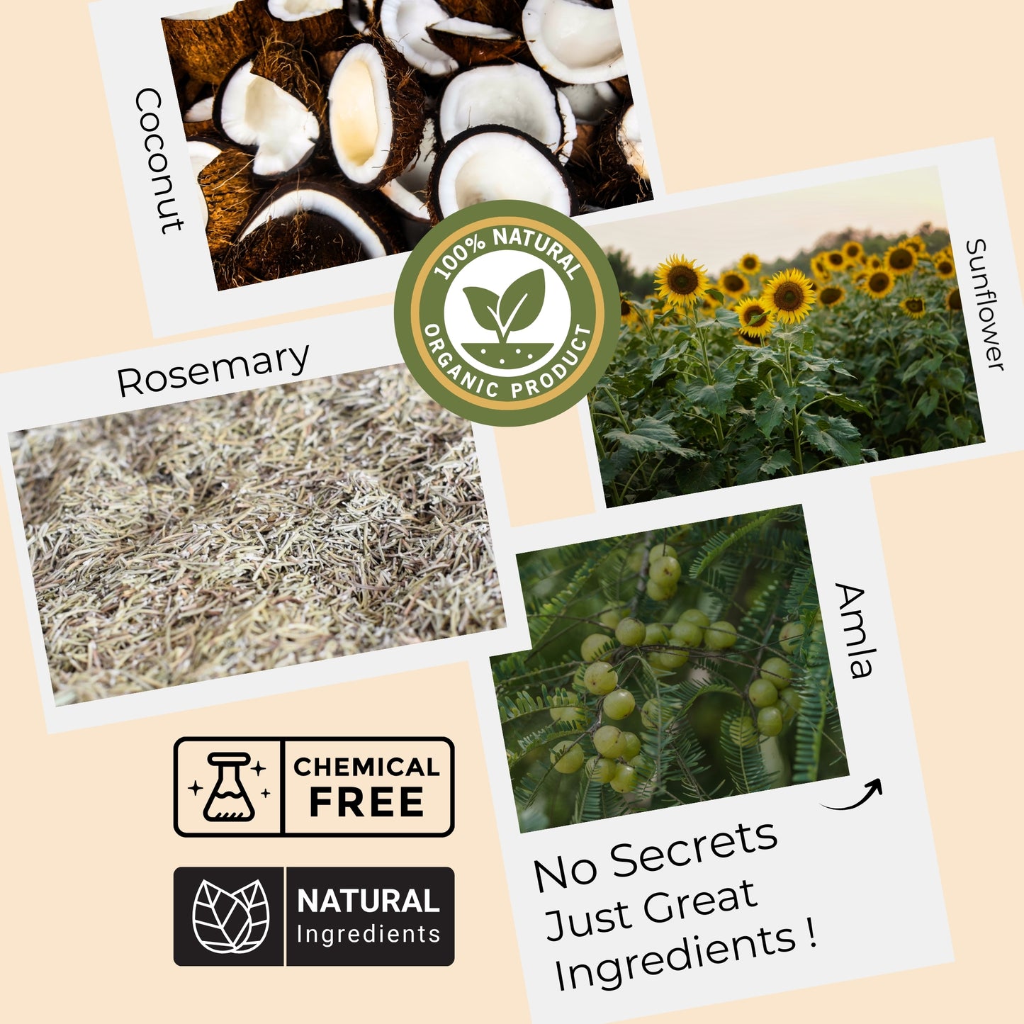 Neelgiri Rosemary  Hair Oil