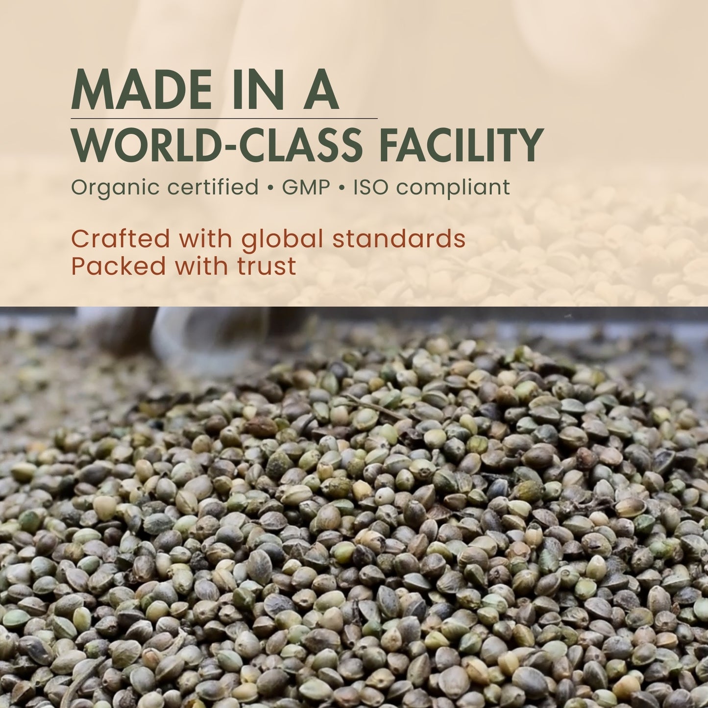 Hemp Seed Cold Pressed Oil