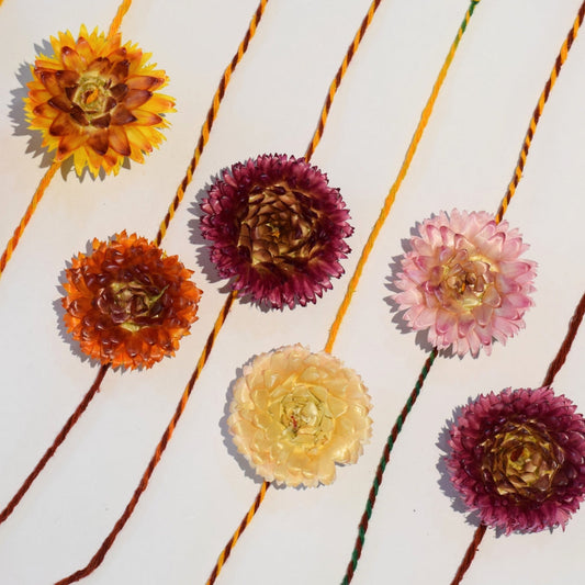🎁 100% Biodegradable Rakhi (3Pcs) - Set of 1 (3 Rakhis)