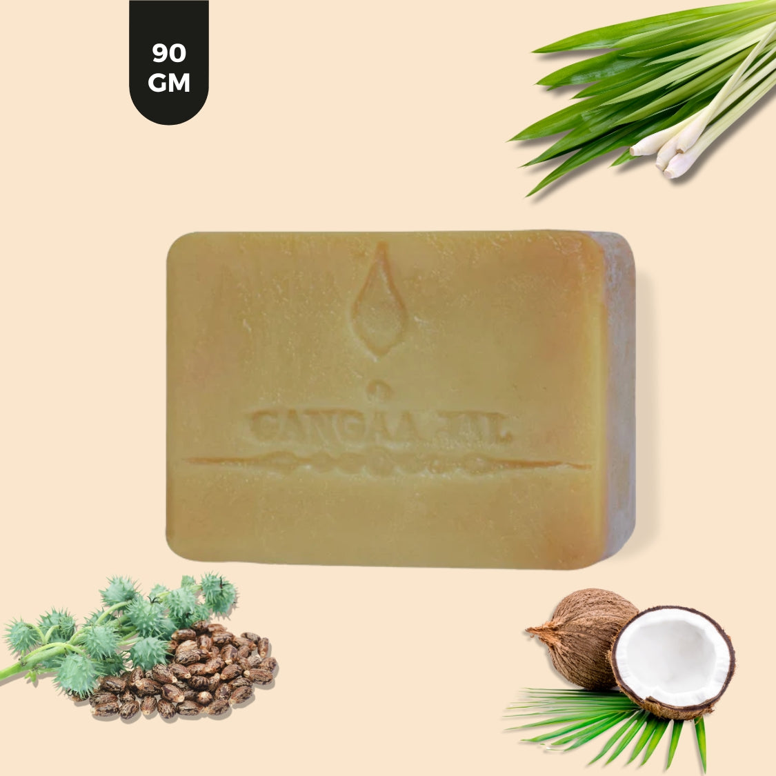 Gangaajal oily skin soap