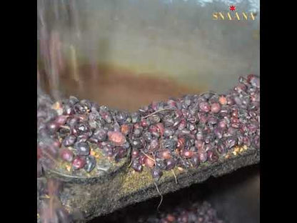 Rosehip Seed Cold Pressed Oil